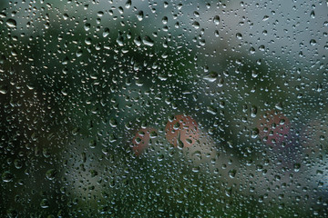 Rain drops on window glasses surface with green tree background