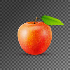 Green apple on transparent background