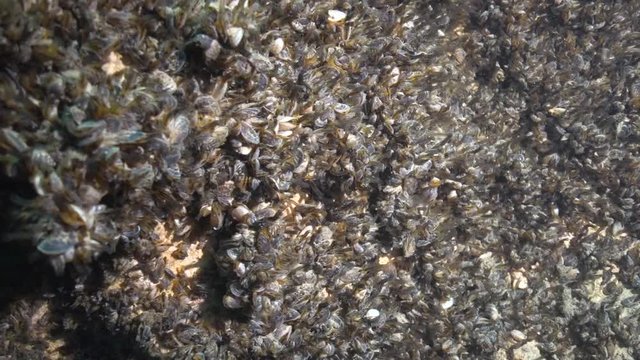 Dreikant Bilder Durchsuchen 94 Archivfotos, und Videos