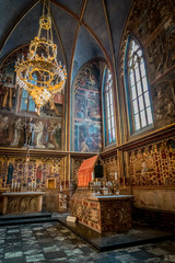 Fototapeta na wymiar La Cathédrale Saint-Guy dans le Château Royal de Prague