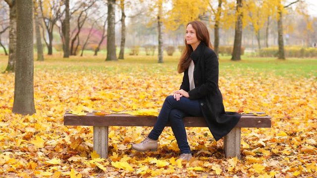 Woman admire beautiful autumn nature, looking on yellow maple leaves