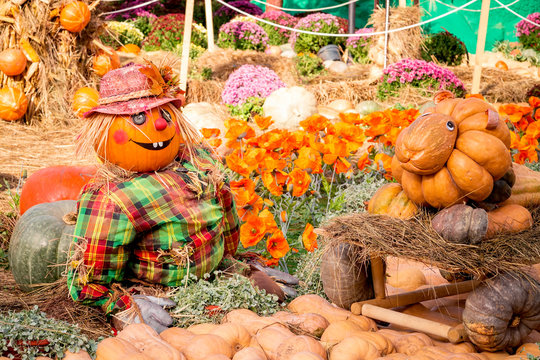 Fairy tale Oz country characters made from pumpkins and flowers