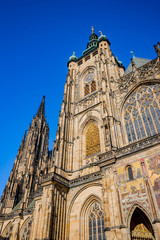 Fototapeta premium La Cathédrale Saint-Guy dans le Château Royal de Prague