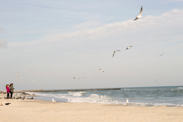 Autumn seashore. Gulls fly over the water. Enjoying the sea.