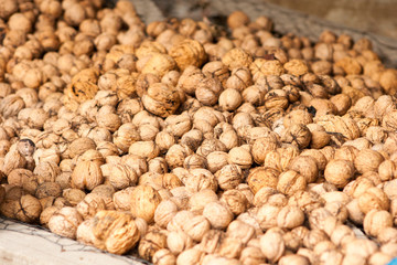 Walnuts on the green grass background