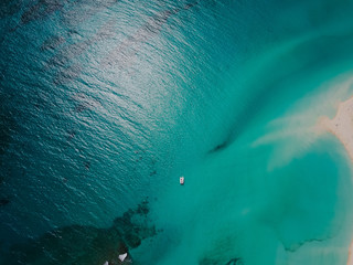 scuba divers on coral reef