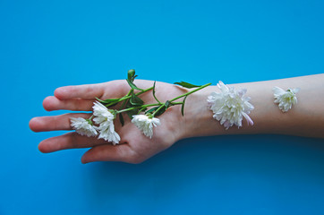 Photo of girls hands with white flowers