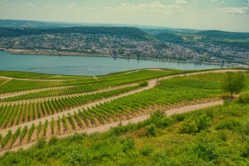 Fototapeta premium Blick auf Bingen am Rhein Rheinland Pfalz