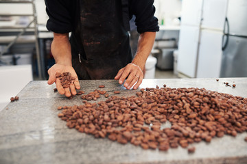 Worker sorting cocoa beans in an artisanal chocolate factory