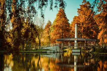 A beautiful autumn afternoon in the park.