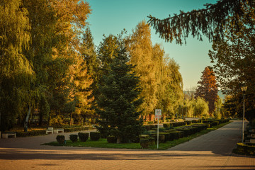 Obraz premium A beautiful autumn afternoon in the park.