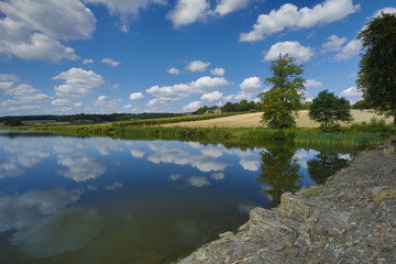springtime in yorkshire
