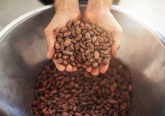 Worker holding a handful of cocao beans for chocolate production