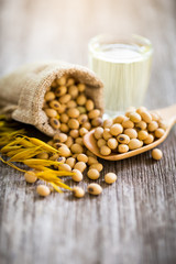 Healthy soy on a wooden spoon,copy space.