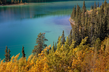 Naklejka na ściany i meble Emerald lake near Carcross, Yukon Canada
