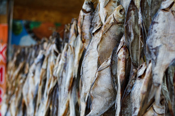 dried fish on the market