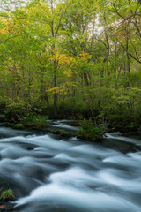 青森・奥入瀬渓流の景色