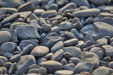 small sea pebbles