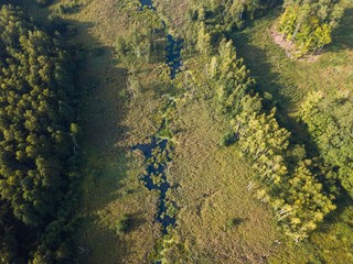 Small stream in morning forest.