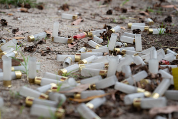 Used shotgun ammo
