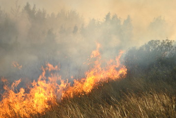 испытание огнем 