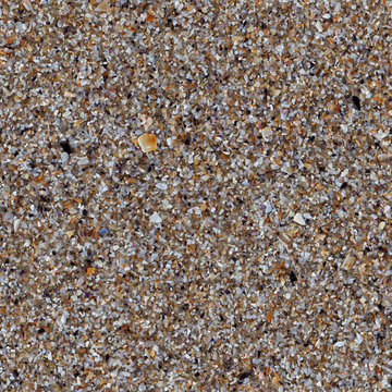 Close up colorful small various bright smooth and embossed light, gray, pastel, brown seashells on the beach by the sea. Detail top view. Natural marine colors, fresh summer spirit.