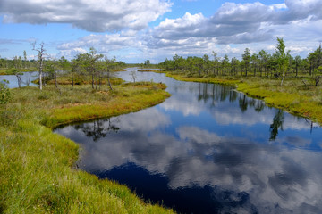 Kemeri bog trail in Latvia