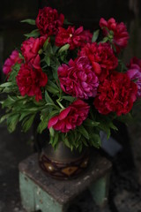 bouquet of red peonies in a vase on black background