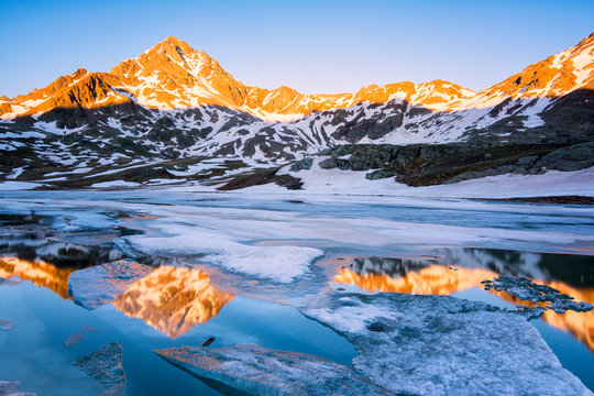 Tre Signori peak reflected in an alpine lake at thaw, Gavia Pass, Val Camonica, Stelvio National Park, Brescia Province, Lombardy