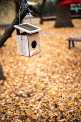 Colorful bird feeder in the autumn mist park