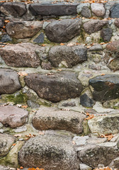 An old stone staircase going up.  In autumn, the fallen leaves lie on the steps. Selective focus