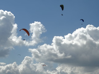kite in the sky