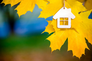 The symbol of the house house on a background of yellow maple leaves 