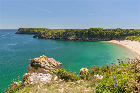 Barafundle Bay, Pembrokeshire Coast, Pembrokeshire, Wales