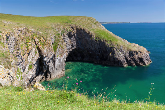 Barafundle Bay, Pembrokeshire Coast, Pembrokeshire, Wales