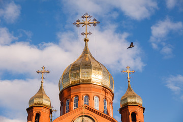 Fototapeta na wymiar Old red brick Christian church with gold and gilded domes against a blue sky. Concept faith in god, orthodoxy, prayer