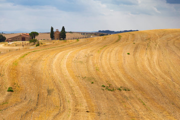 campi di grano in estate dopo la meetitura 