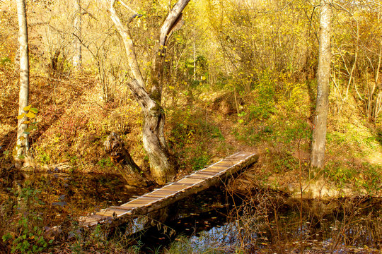 Bridge on Grza river, Paracin Serbia. Nature park Grza, river surrounded with forest. Autumn, sunny day with beautiful colors