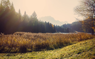 Fototapeta premium Cudowny słoneczny krajobraz. Fantastyczne Alpy Bawarskie z jeziorem Geroldsee w słońcu. Wspaniały mglisty poranek. Niesamowite tło natury. Bajkowa alpejska dolina jesienią.