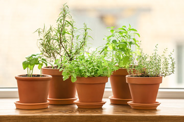 Pots with fresh aromatic herbs on wooden windowsill © Pixel-Shot