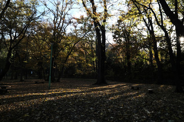 Naklejka premium sapporo, matuyama park