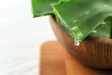Bowl with fresh aloe vera leaves, closeup