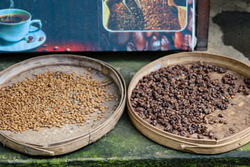 Raw coffee seed