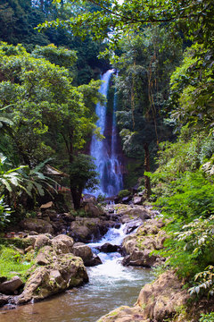 waterfall in deep forest of Bali