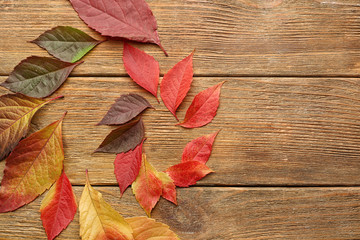 Naklejka na ściany i meble Beautiful autumn leaves on wooden background