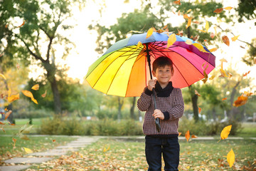 Cute little boy with colorful umbrella in autumn park
