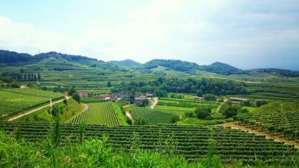 Weinregion Kaiserstuhl 