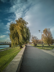 road in the countryside