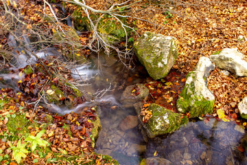 River Grza in autum. Beautiful small river surrounded with forest in nature park Grza.