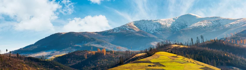 Foto op Canvas panorama of mountain ridge with snowy peak above the hill with grassy rural fields. wonderful weather condition of november © Pellinni